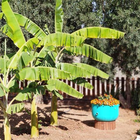 La Casita Del Naranjo Βίλα Agüimes Εξωτερικό φωτογραφία