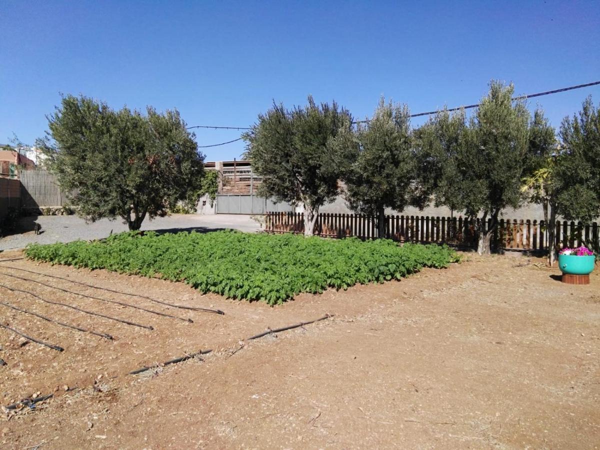 La Casita Del Naranjo Βίλα Agüimes Εξωτερικό φωτογραφία