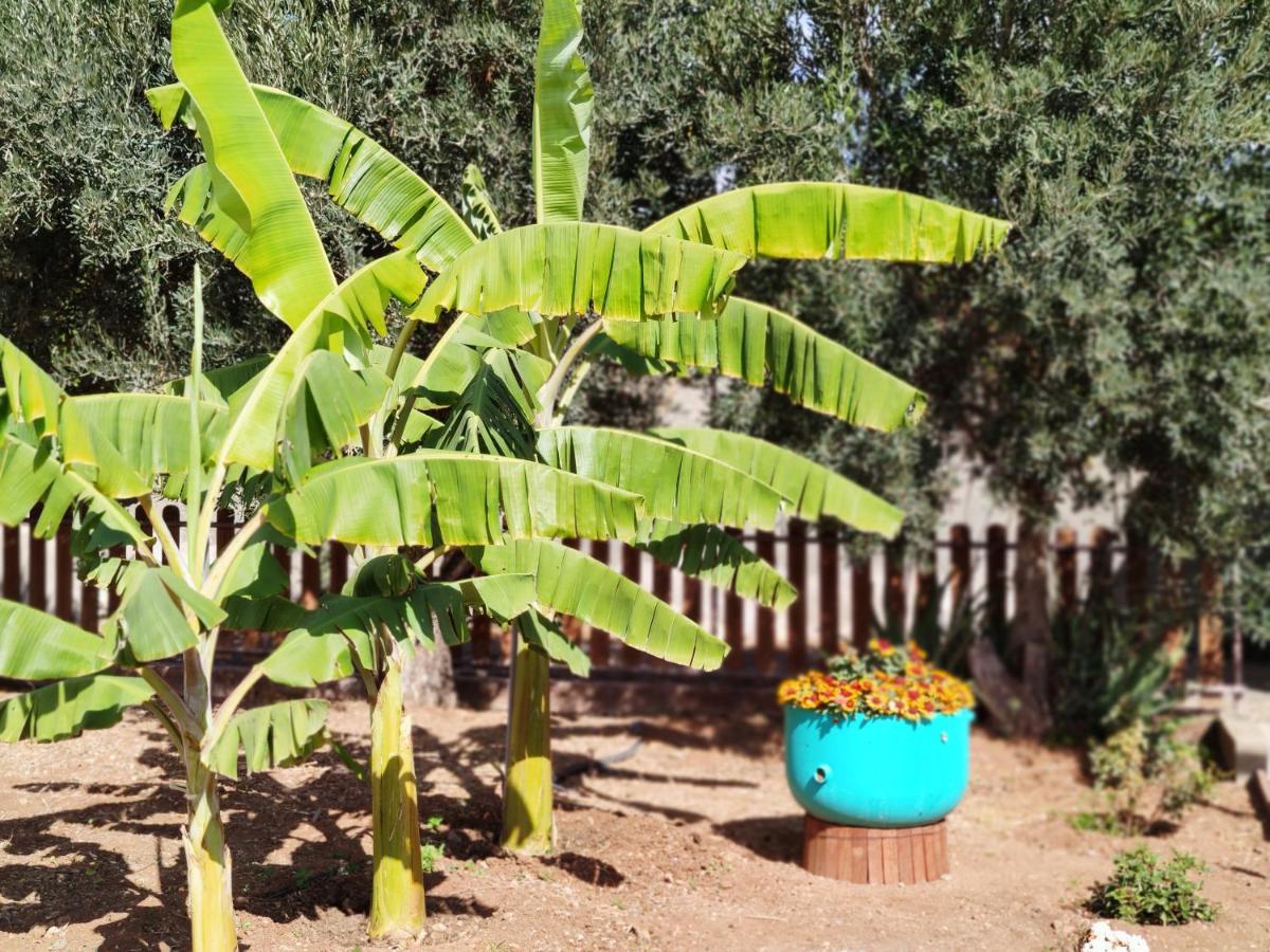 La Casita Del Naranjo Βίλα Agüimes Εξωτερικό φωτογραφία