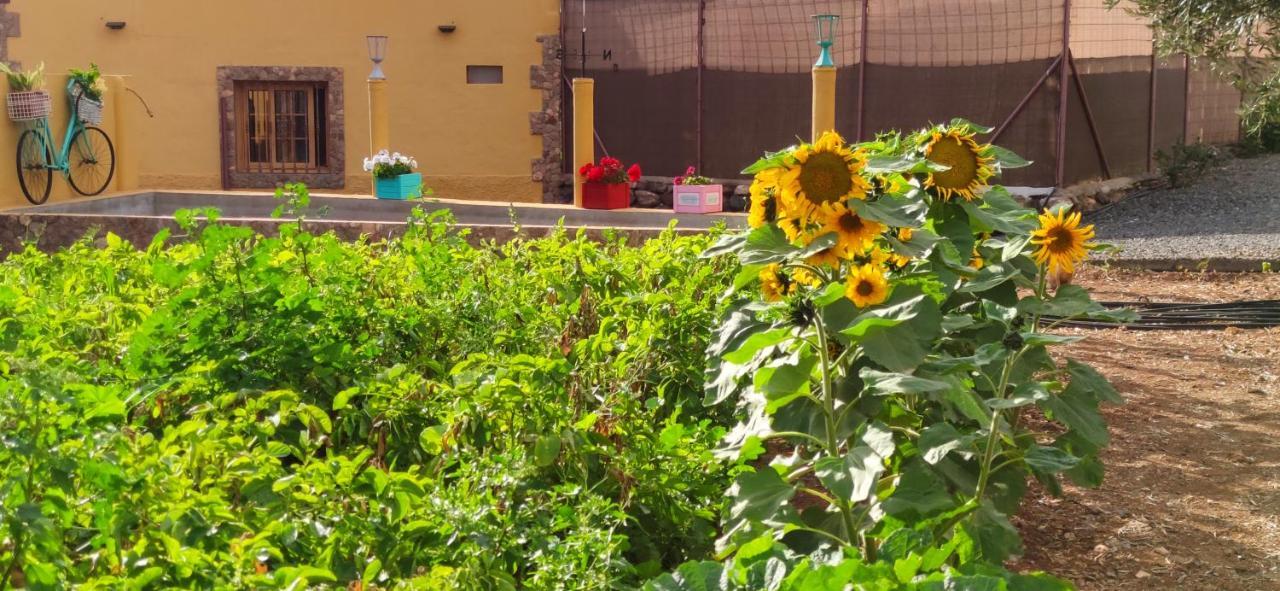 La Casita Del Naranjo Βίλα Agüimes Εξωτερικό φωτογραφία